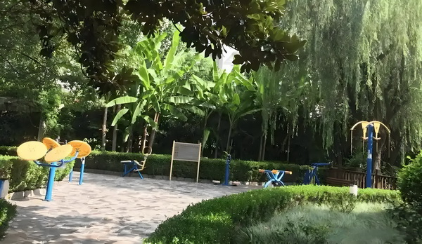 大学生深圳户口迁入条件_预售惨淡人气暴跌谁也救不了“狂妄自大”的那英 面积平米建筑约12万